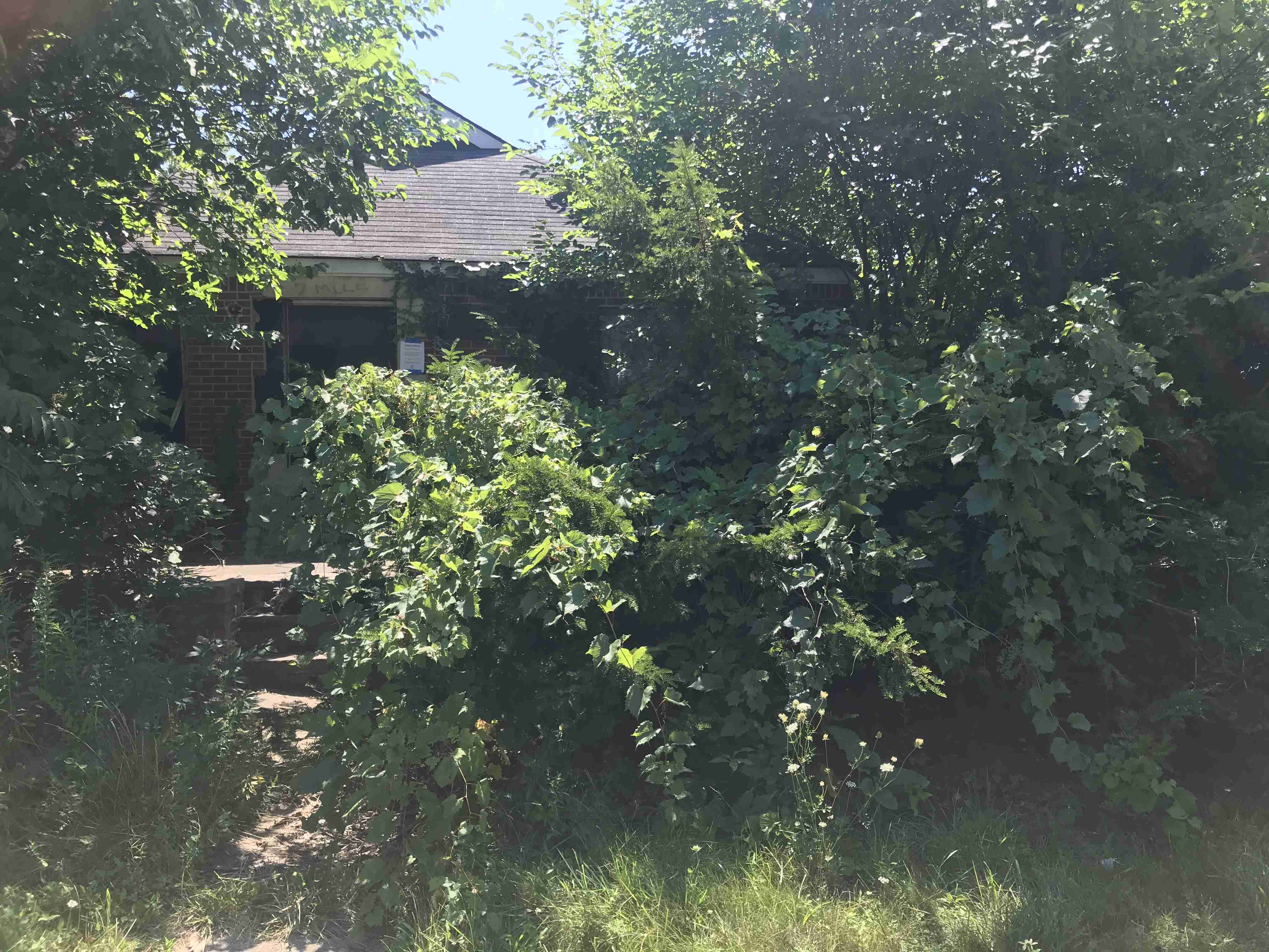 Photo Aug 21, 1 12 14 PM (1).jpg